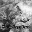 Wolf in Foggy Forest Theme