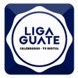 程序图标：Liga GTV