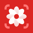 プログラムのアイコン：Photo Lite - Photo Editor
