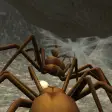 Spider Nest Simulator  insect and 3d animal game