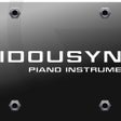 程序图标：iDousyn