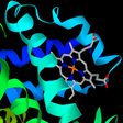 Ícone do programa: NDKmol - molecular viewer