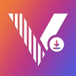 程序图标：Video Downloader Browser