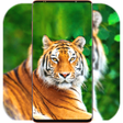 Symbol des Programms: Animal Wallpaper HD