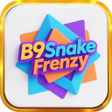 Programikonen: B9Snake Frenzy