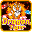 Dragon Casino Super Win