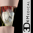 Ikona programu: Knee Pro III with Animati…