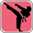 Learn Martial Art Techniques Complete