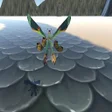 Icoon van programma: PhoenixFight