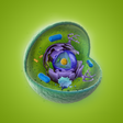 Иконка программы: Cell Structure