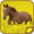 Icon of program: Horse Puzzles Free