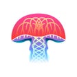 Icon of program: Mushroom Identification