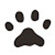 catcatcatcaaaaaaaaaaaaat icon