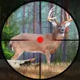 Deer Hunting FPS Shooting Game