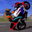 程序图标：Motocross Bike Driving