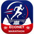 Programikonen: EVFM Runner