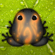 Icon of program: Pocket Frogs