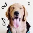 Dogify: Sounds Dogs Love