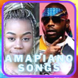 程序图标：Amapiano Songs