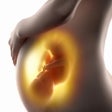プログラムのアイコン：Pregnant. Pregnancy by we…
