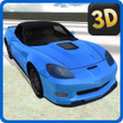 程序图标：City Car Driving 2014