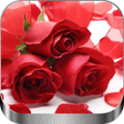 プログラムのアイコン：Rosas Rojas de Amor