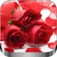 Rosas Rojas de Amor