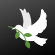 プログラムのアイコン：Holy - Daily Bible Verses