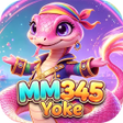 프로그램 아이콘: MM345Yoke