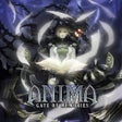 프로그램 아이콘: Anima: Gate of Memories