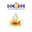 Programın simgesi: eCOSS