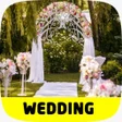 أيقونة البرنامج: wedding background