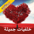 Icon of program: خلفيات شاشة هاتف الاندروي…