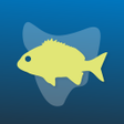 プログラムのアイコン：Fishing Tas