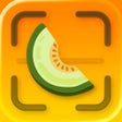 ไอคอนของโปรแกรม: Honeydew: Capture Recipes