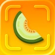 Иконка программы: Honeydew: Capture Recipes
