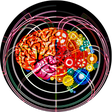 Icône du programme : Memorize - the Brain Game
