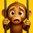 Ikon program: IM Monkey Chaos: Prankste…