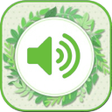 プログラムのアイコン：Zen Relaxing Ringtones