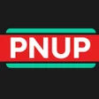 Programikonen: Pin Up: Card Game