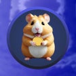 ไอคอนของโปรแกรม: Lucky Hamster Game