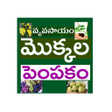 Icon of program: Mokkala Pempakam