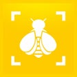 Ikona programu: Bumble Bee Watch
