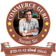Icon of program: 11-12 Commerce Guru
