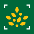 程序图标：Morrisons Scan  Shop