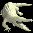 Crocodile Mannequin