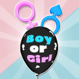 程序图标：Gender party run