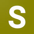 程序图标：SVPN