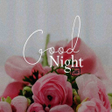 程序图标：Images GoodNight GIFs 202…