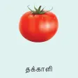Learn Tamil FlashCards